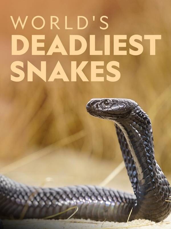 World's Deadliest Snakes