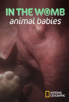 In The Womb : Animal Babies